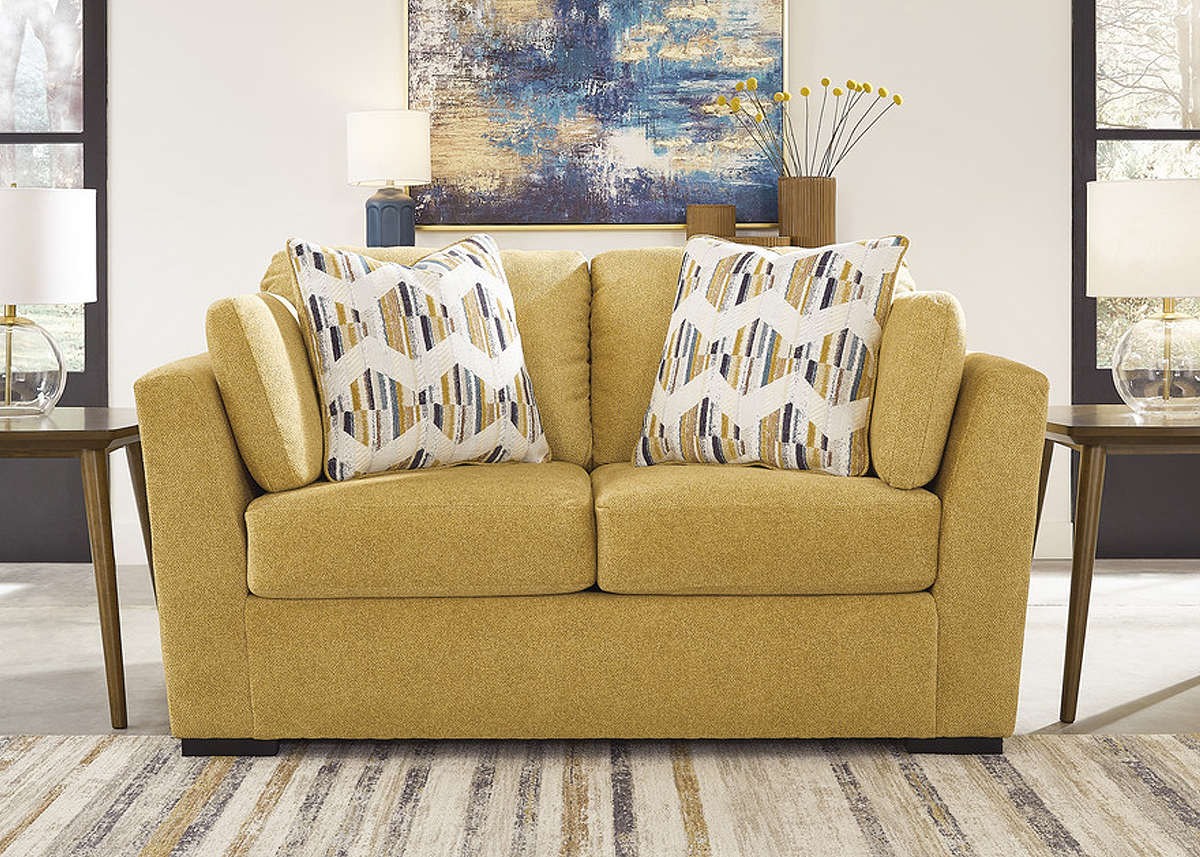 Room place sleeper sofa top