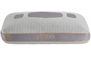 Search Results For Bedgear Side Align Queen Dri Tec Performance