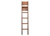 Ladder Chestnut Catalina