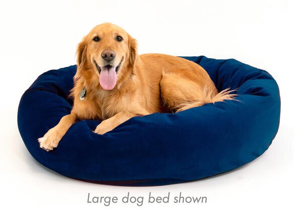 Memorypedic Dog Bed Cobalt